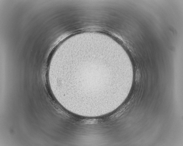 X0000114501410200911301117