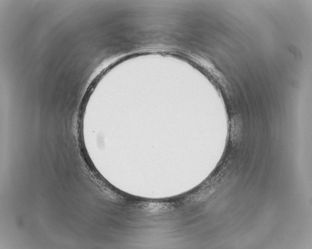 X0000114501412200911301117