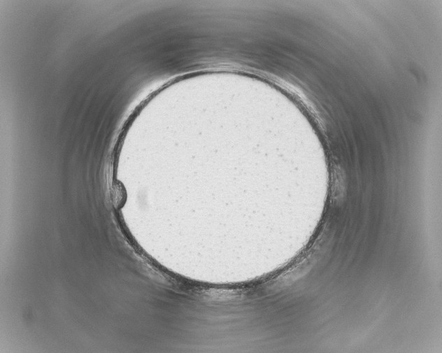 X0000114501424200911301117