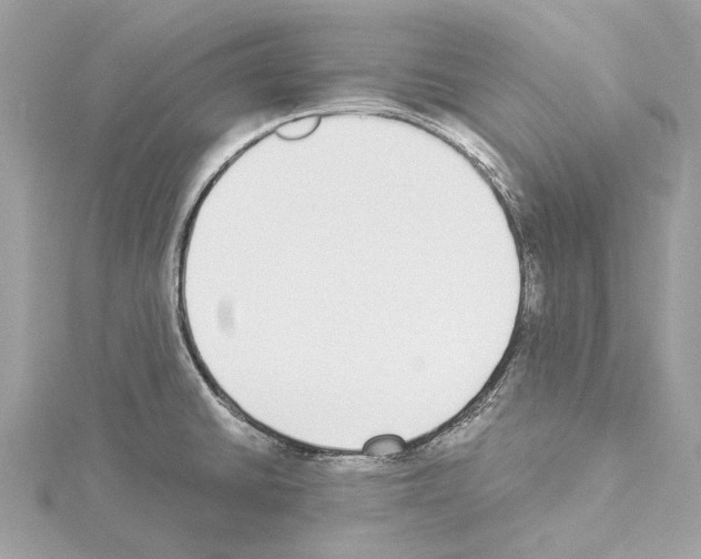 X0000114501430200911301117