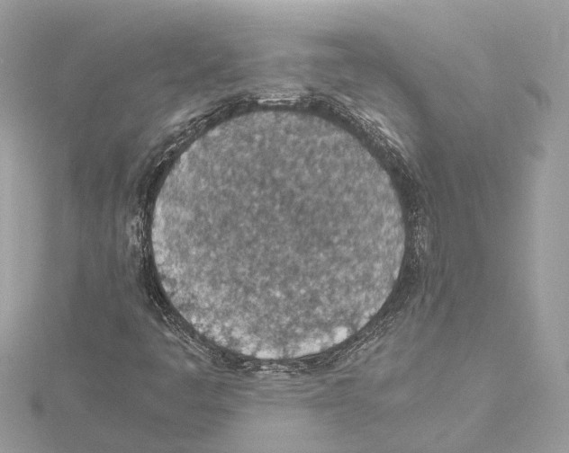 X0000114501445200911301117