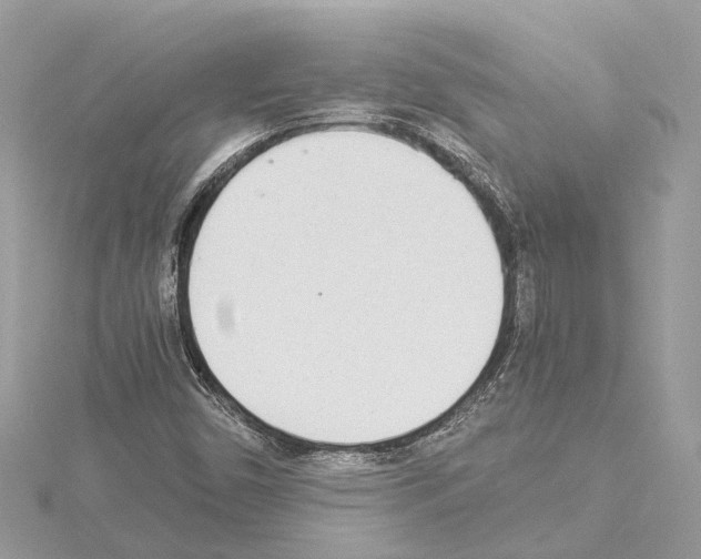X0000114501450200911301117