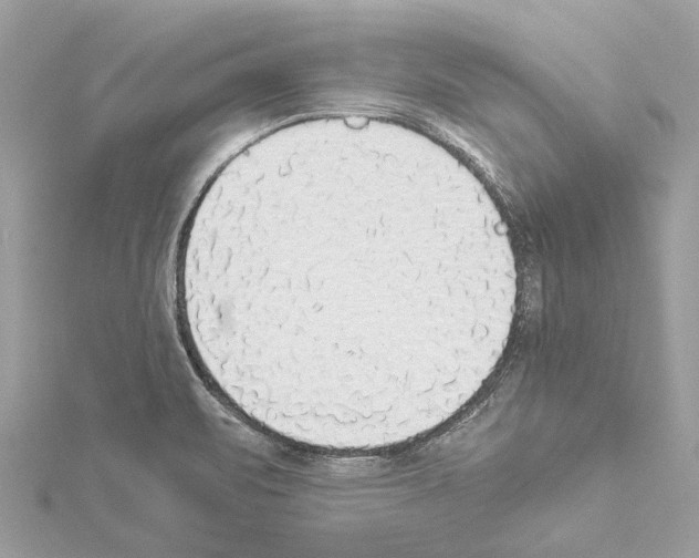 X0000114501471200911301116