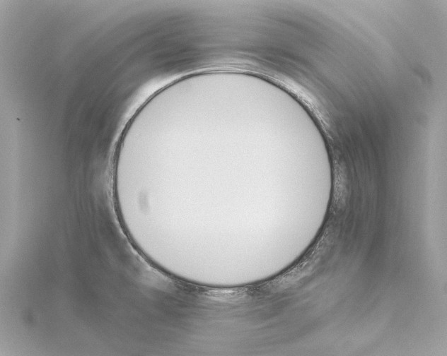 X0000114501478200911301116