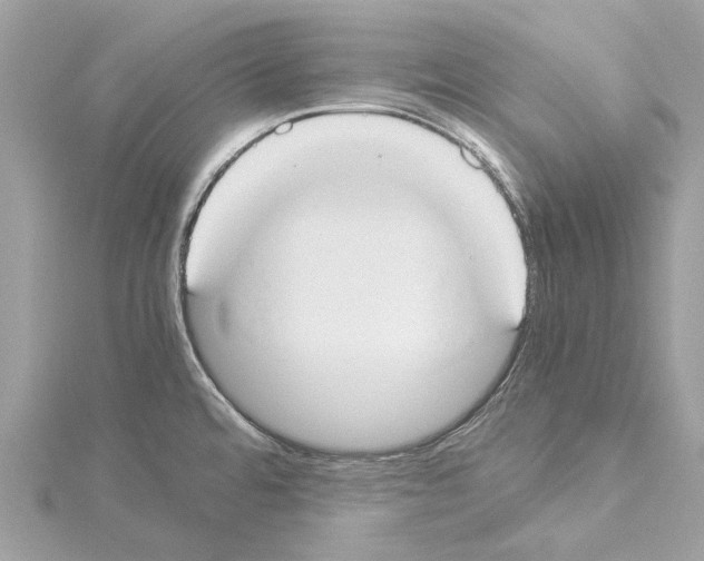 X0000114501480200911301116