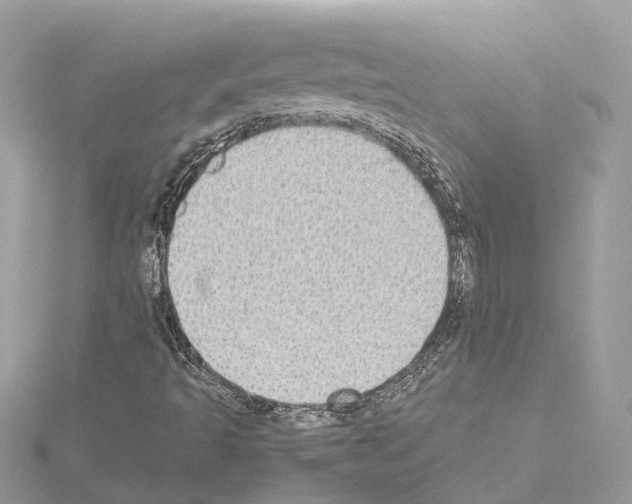 X0000114501493200911301116
