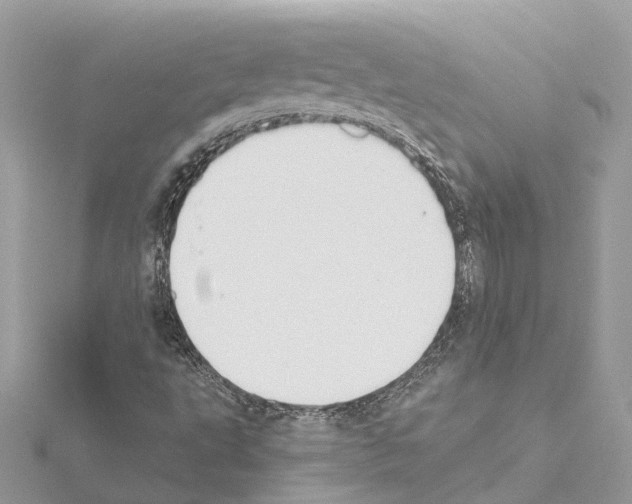 X0000114501495200911301116