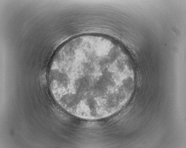 X0000114501497200911301116