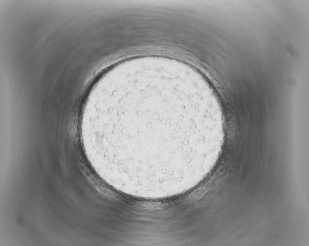 X0000114501499200911301116