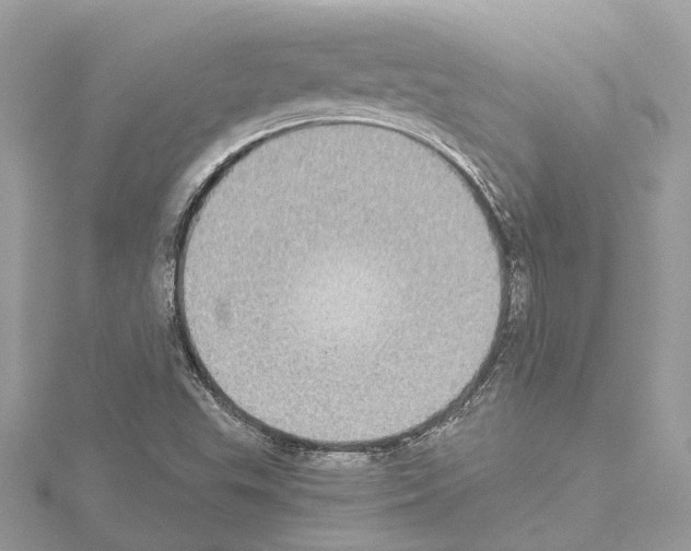 X0000114501503200911301116