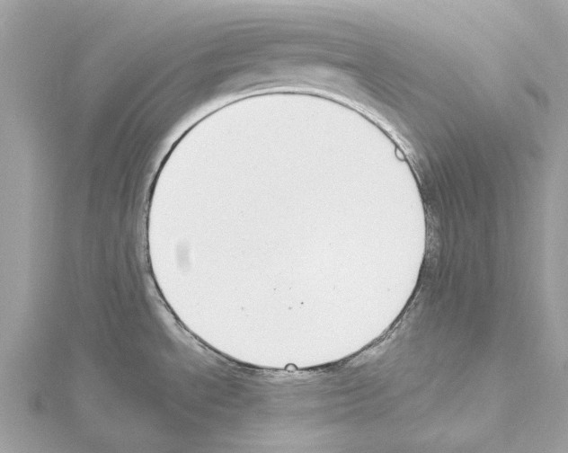 X0000114501534200911301116