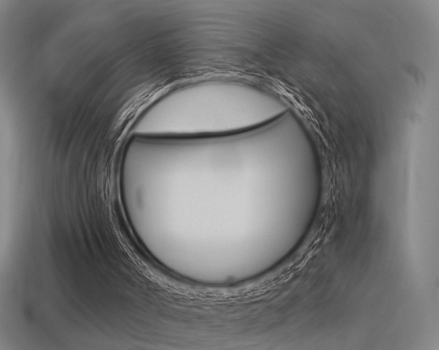 X0000114510002200910190938