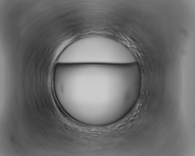 X0000114510003200910190938