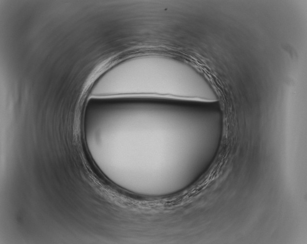 X0000114510004200910190938