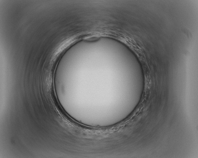 X0000114510005200910190938