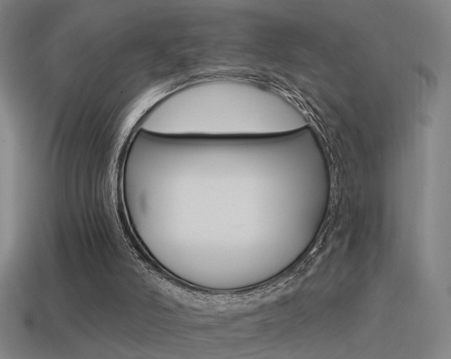 X0000114510006200910190938