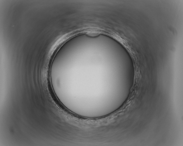 X0000114510007200910190938