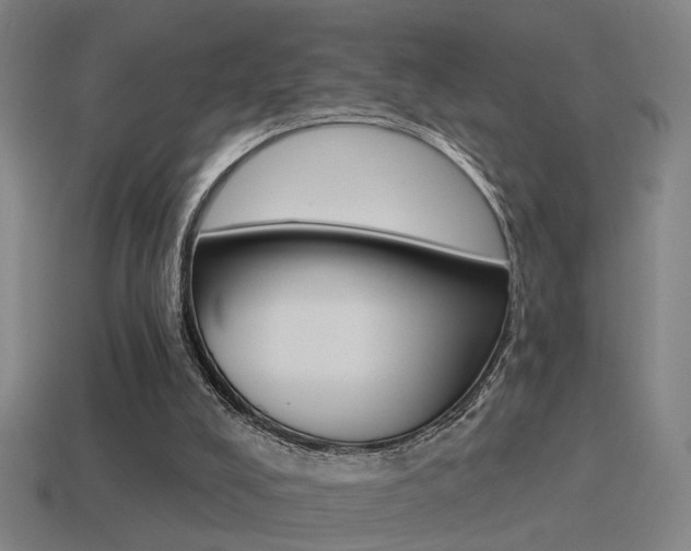 X0000114510008200910190938