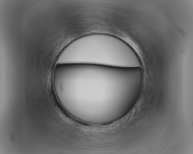 X0000114510009200910190938