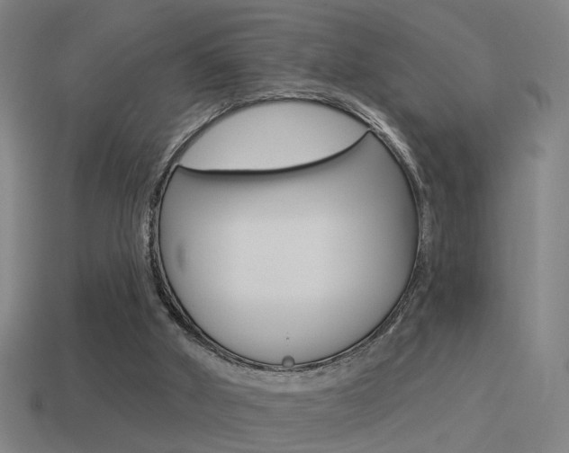 X0000114510010200910190938