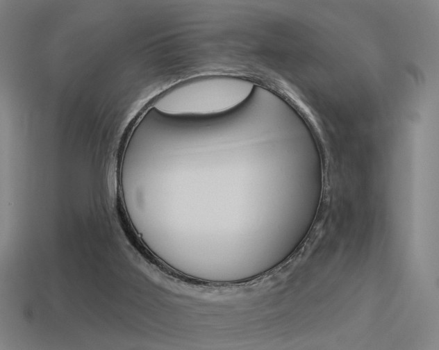 X0000114510011200910190938