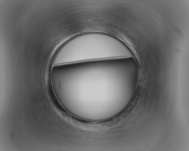 X0000114510012200910190938