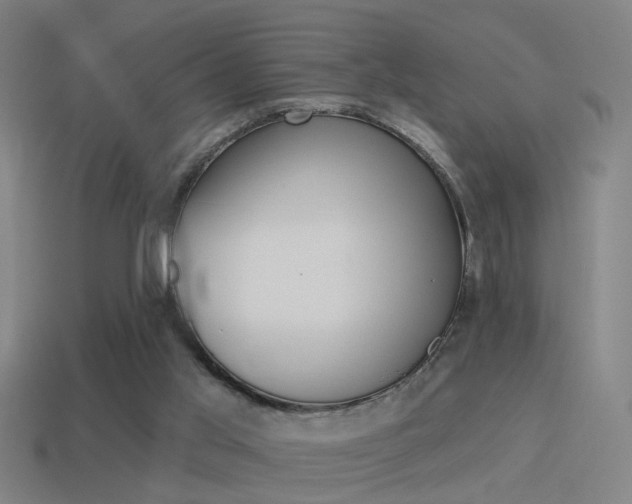 X0000114510013200910190938