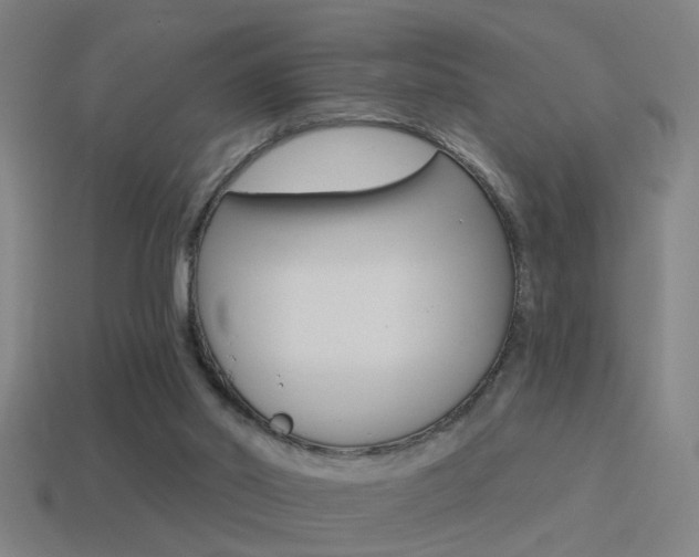X0000114510014200910190938
