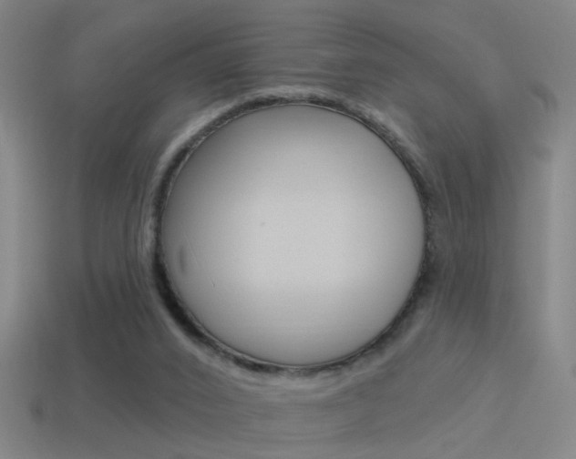 X0000114510016200910190938