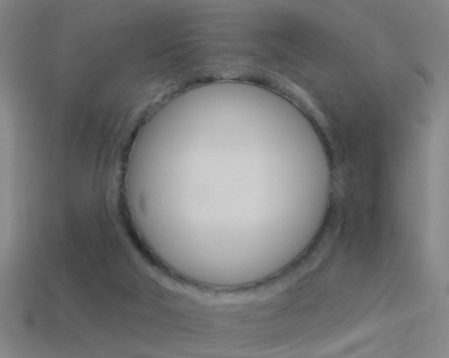 X0000114510018200910190938
