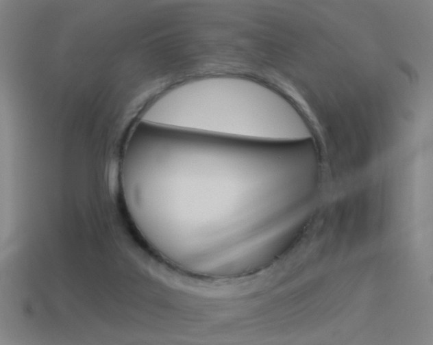 X0000114510019200910190938