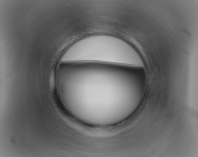X0000114510020200910190938
