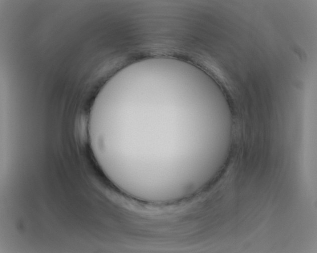 X0000114510022200910190938