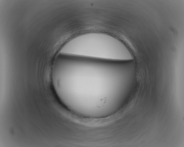 X0000114510023200910190938