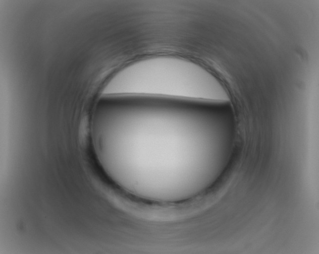X0000114510024200910190938