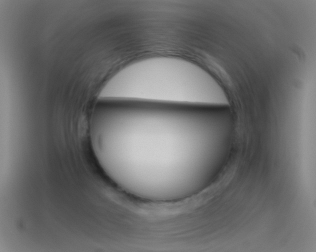 X0000114510025200910190938