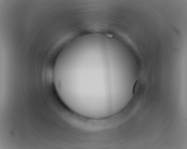 X0000114510027200910190938