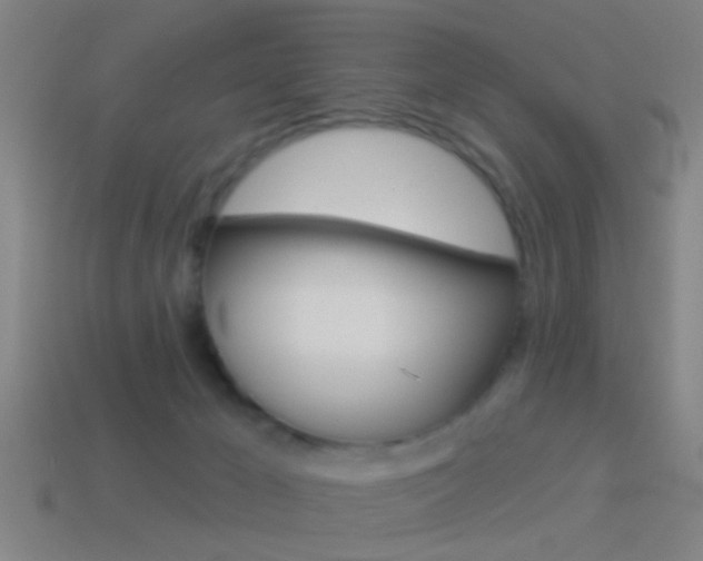 X0000114510029200910190938