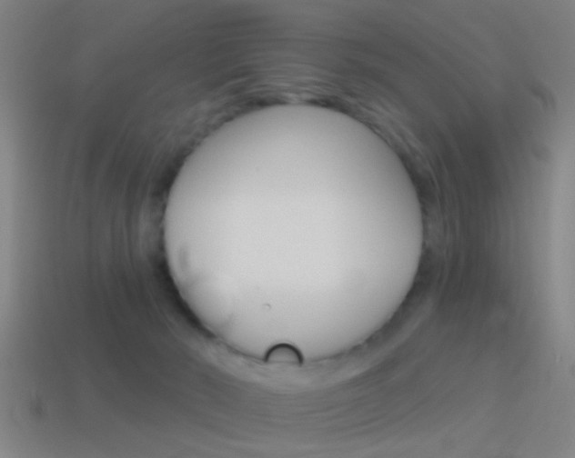 X0000114510030200910190938