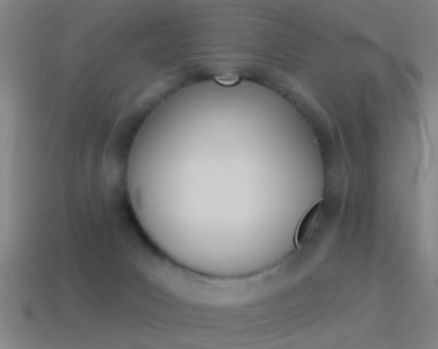 X0000114510031200910190938