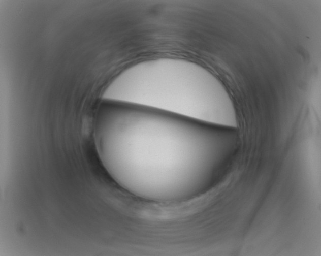 X0000114510033200910190938