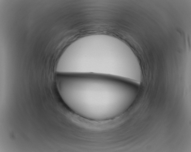 X0000114510035200910190938
