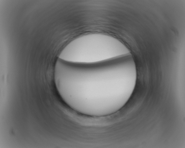 X0000114510036200910190938