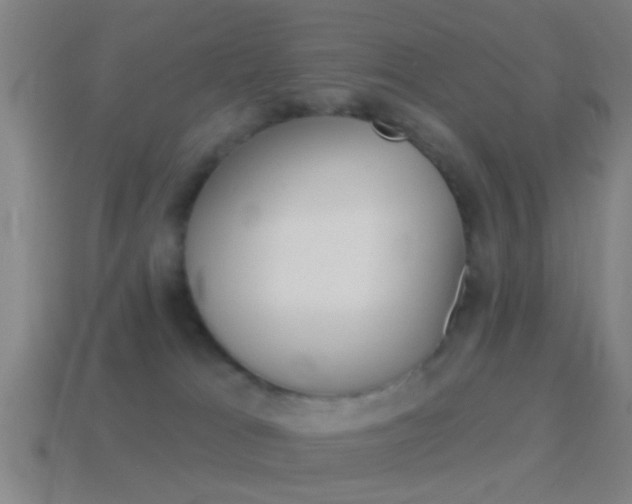 X0000114510037200910190938