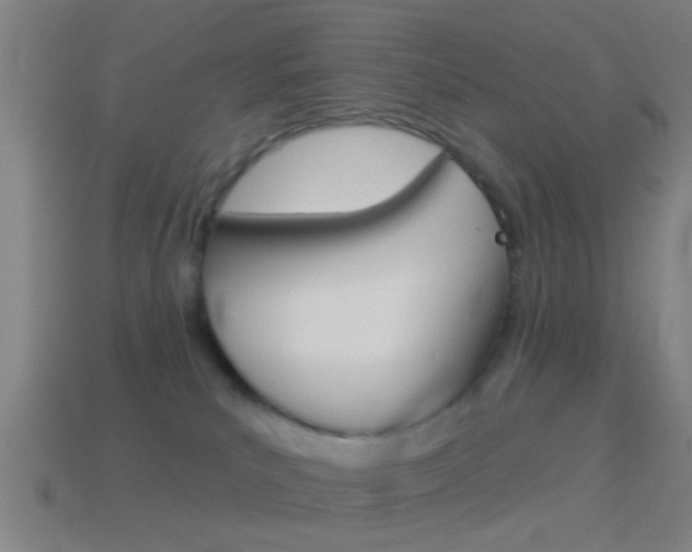 X0000114510039200910190938