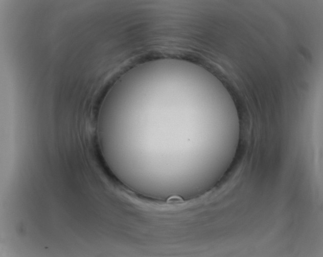 X0000114510040200910190938