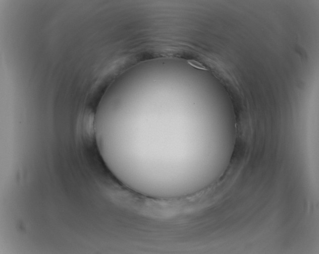 X0000114510041200910190938