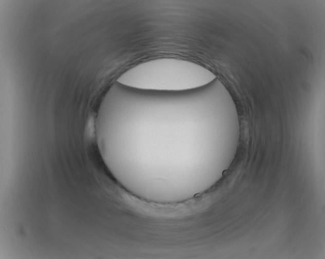 X0000114510042200910190938