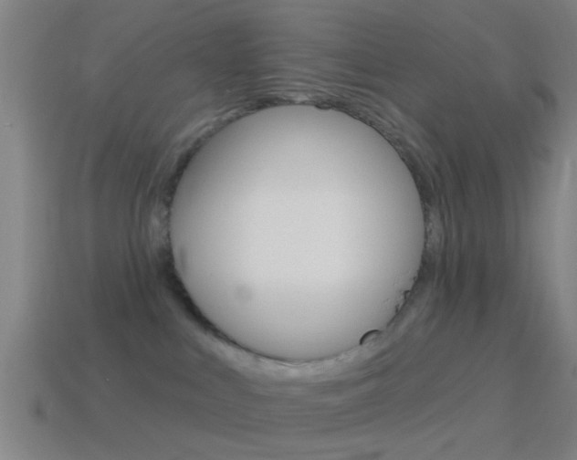 X0000114510043200910190938