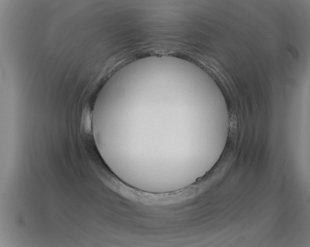 X0000114510046200910190938